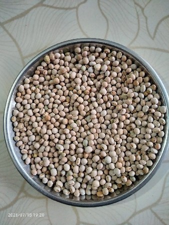 તુવેર નુ બીયારણ વેચવા નુ છે