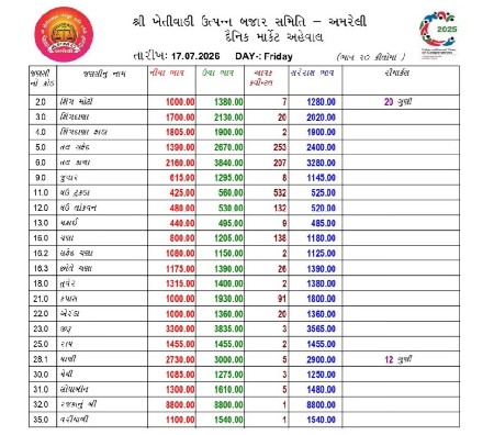 8 વિઘા  રોકાણ માટે