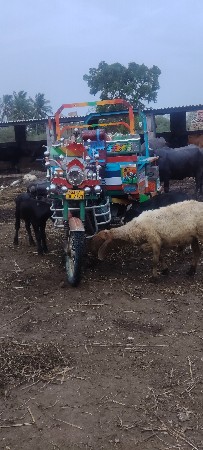 રીક્ષા વેચવાની છે વૈભવની