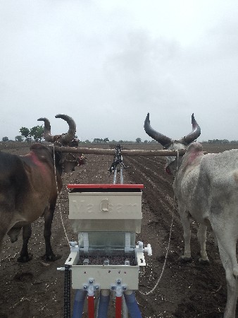 4 ધર ના શૅ