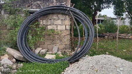 બોરનો બમ્બો બેનો 10 kg વેચવાનો છે