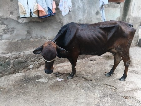 વેચવાની છે