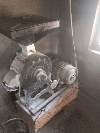 શકી. ઘરઘંટી. વેશવા નીસે