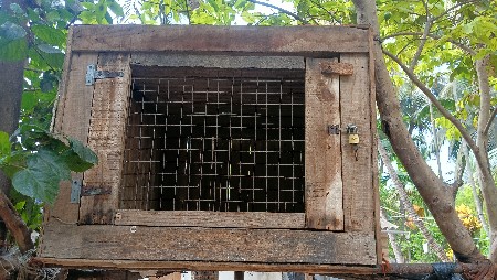 peti