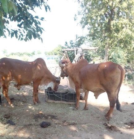 વેચવાના છે