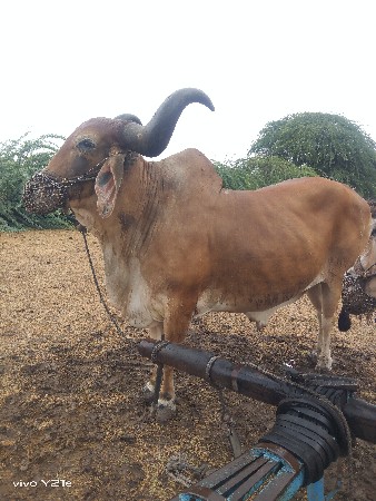 3 ધર
