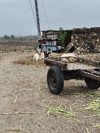 કચ્છી વઢીયારા વેચવાના છે