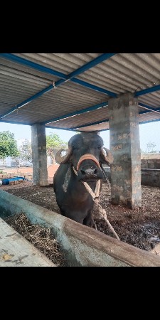 ૪  વેચવાની છે