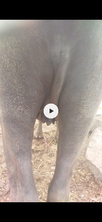 70000
