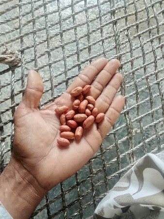 કે એકતાલી નુ બી વેસવાનુ છે