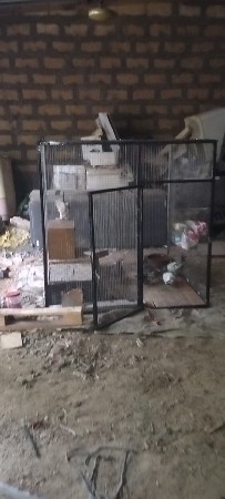 kabutar nu pinjru