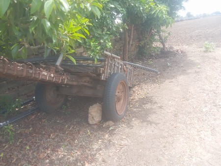 વનરાજ