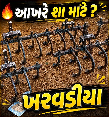 સિંગ અને કપાસ માં સાલતા kharvadiy