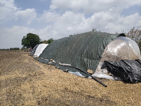 ભુકો વેચવા નો છે