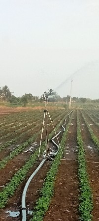 ફૂવારો રેંકડી