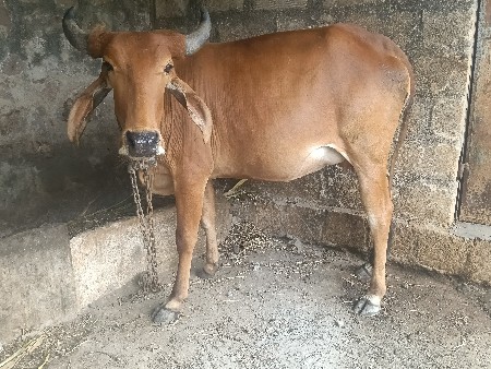 વેચવાની છે