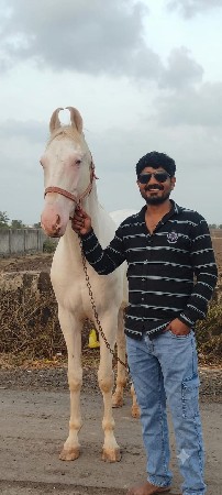 વેશવાનો છે