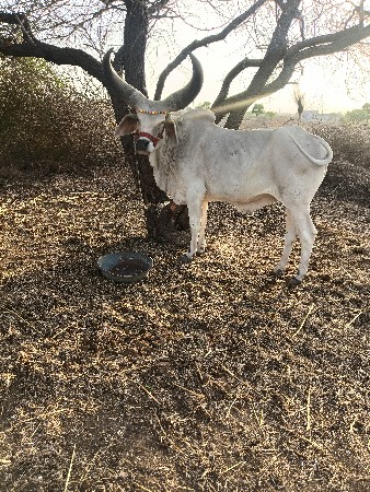 વે