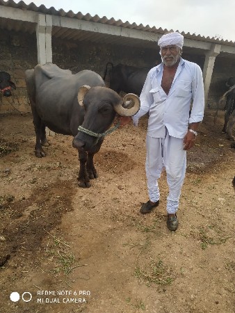 વેચવાની છે