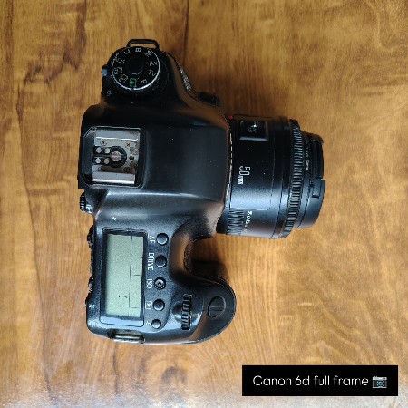canon 6d full frame