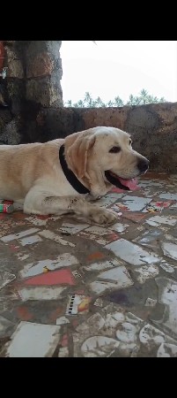 વેચવાનો નથી ખાલી મિટિંગ માટે જ છે