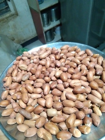 GG-41 નું બિયારણ વેચવાનુ છે