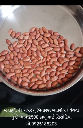 G 45 નું બિયારણ વેચવા નું છે