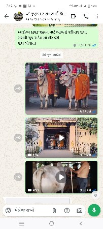 આપવાનાં છે