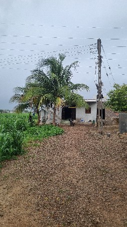 જમીન વેચવાની છે