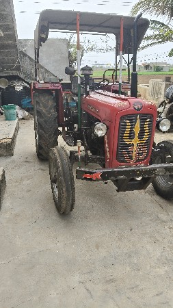 mesi