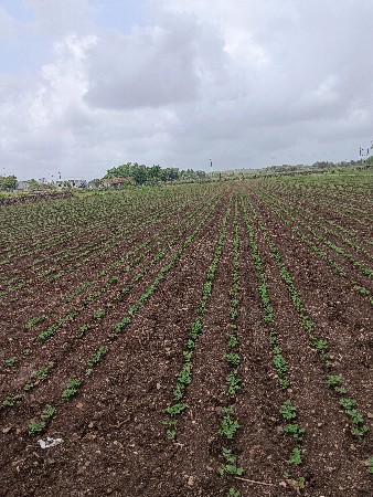 જમીન વેચવાની છે