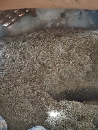 તૂવેર