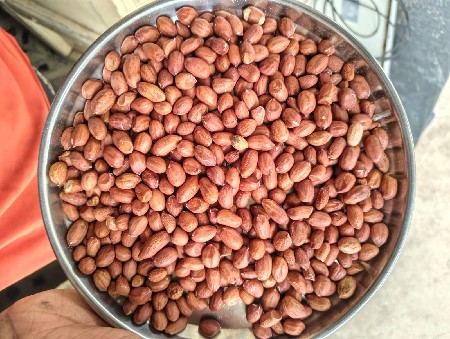 મગફળી નુ બિજ વેચવા નુ છે..