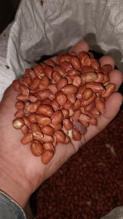 20 નંબર માઙવીનૂ બ