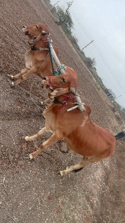 sampark karo 9727134868