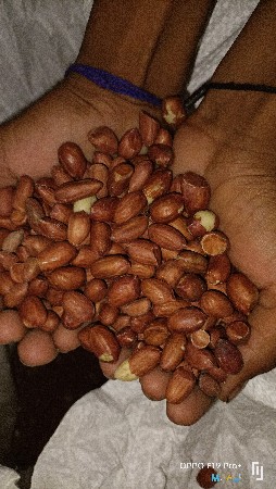 20 નબર માઙવીનુ બી વેશવાનુ છૈ