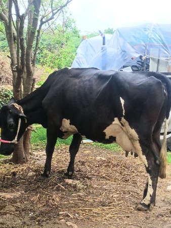 વેચવાની છે