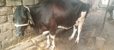 9173393522