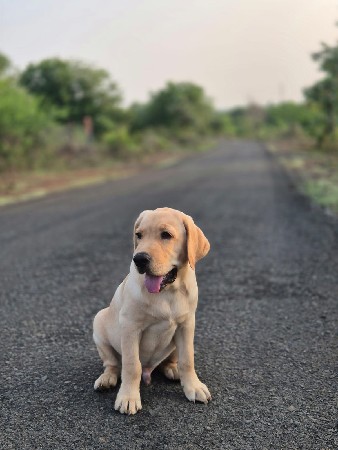 મીટિંગ માટે