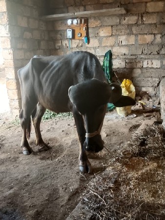 દેવભૂમિ દ્વારકા જિલ્લો ભાણો તાલુકો