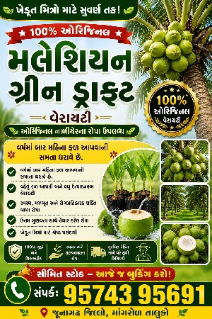 નારીયાળી ના રોપ