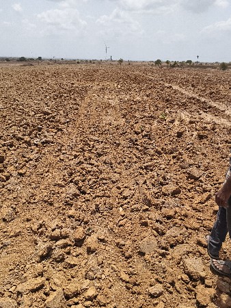 જમીન લેવીચ માતે કોલ કરો