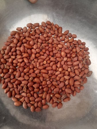 બિયારણ