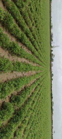 જમીન વેચવા ની છે