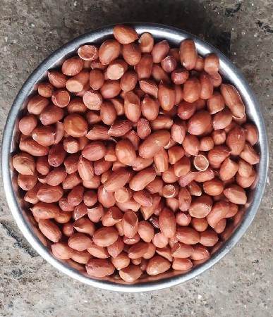 જીવીસ નું બી વેચવાનું છે