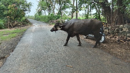 વેચવાની છે