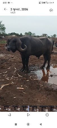 બીજા વાળા નો છે