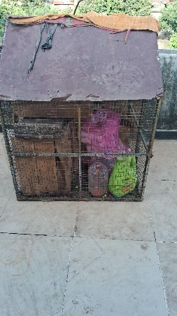મારે ભાઈ પિંજરૂ દેવાનું છે