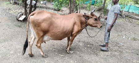 વેચવાની છે