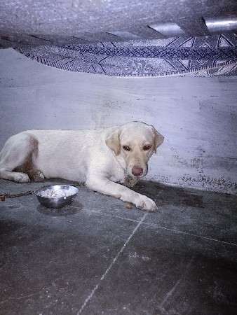 સાટા પર કરવા છે